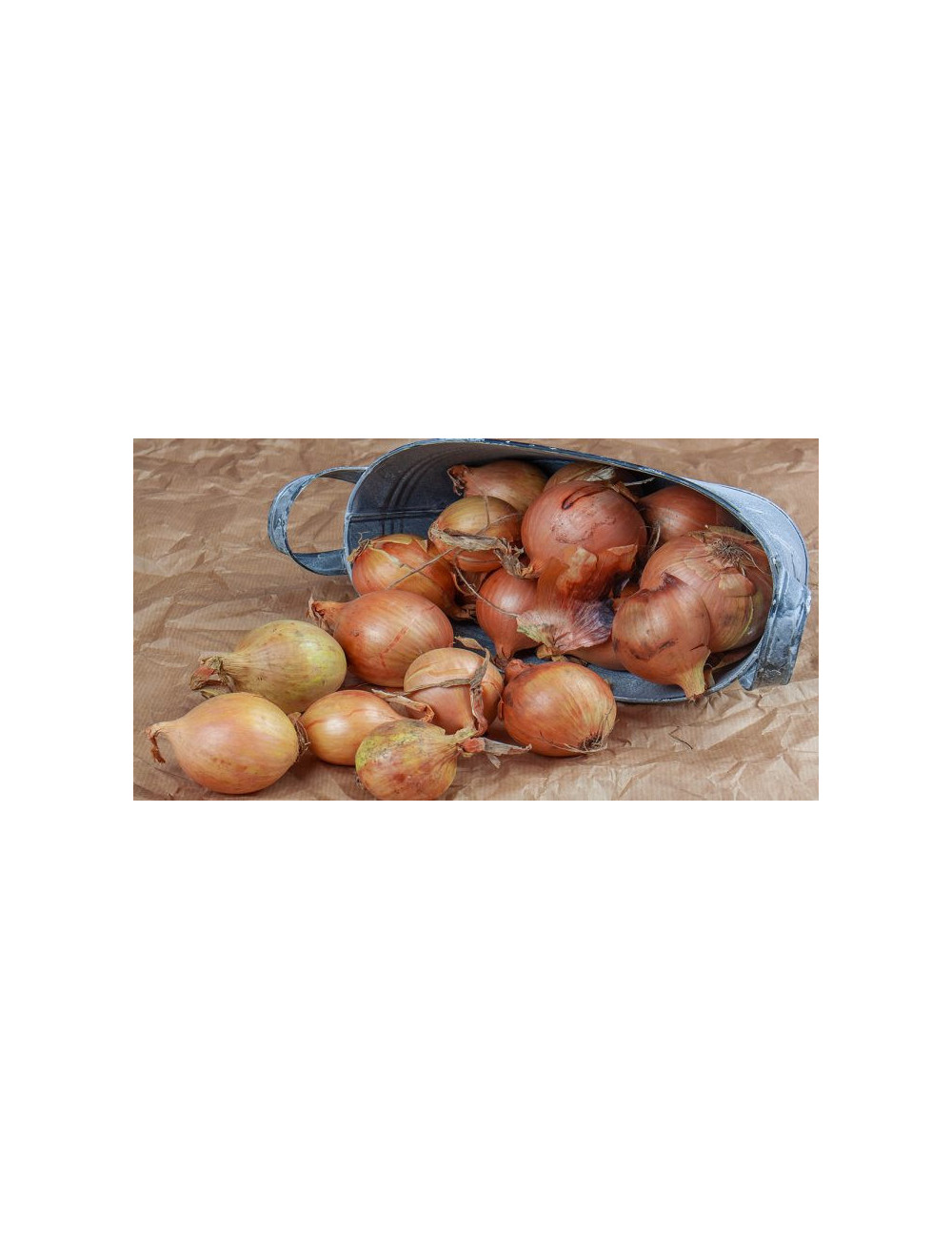 copy of Czerwona cebula  1 kg