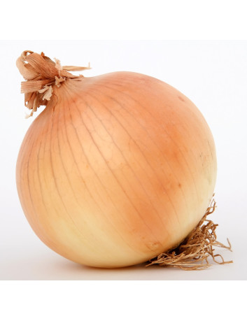 copy of Czerwona cebula  1 kg