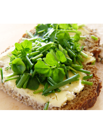 copy of copy of copy of Jarmuż 1 kg z Gór Bardzkich