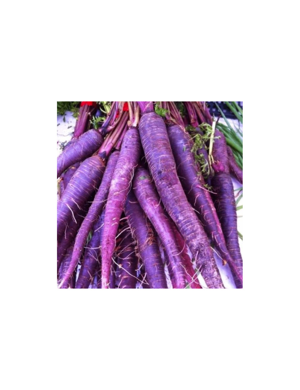 copy of copy of Jarmuż 1 kg z Gór Bardzkich