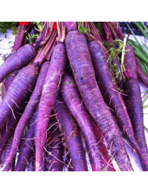 copy of copy of Jarmuż 1 kg z Gór Bardzkich